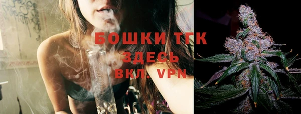 сатива Белоозёрский
