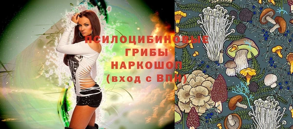 MESCALINE Белокуриха
