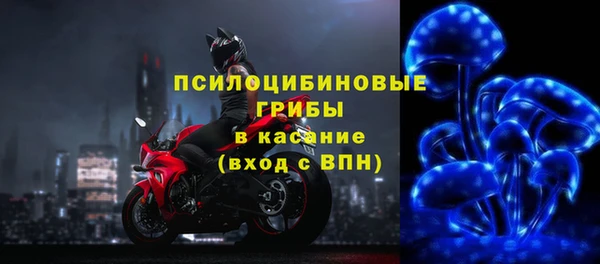 стаф Беломорск