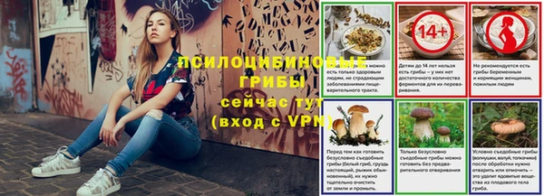 сатива Белоозёрский