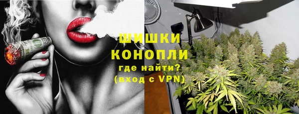 сатива Белоозёрский